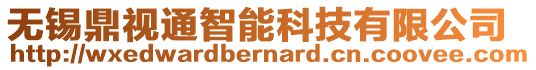 無錫鼎視通智能科技有限公司
