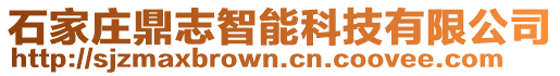 石家莊鼎志智能科技有限公司