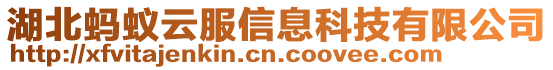 湖北螞蟻云服信息科技有限公司