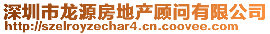深圳市龍源房地產(chǎn)顧問有限公司