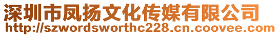 深圳市鳳揚(yáng)文化傳媒有限公司