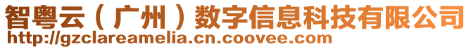智粵云(廣州)數字信息科技有限公司