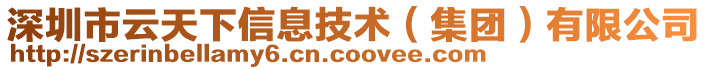 深圳市云天下信息技術(shù)(集團(tuán))有限公司