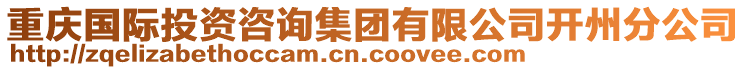 重慶國(guó)際投資咨詢集團(tuán)有限公司開州分公司