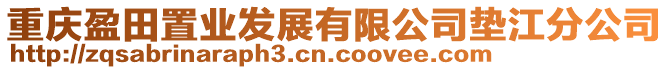 重慶盈田置業(yè)發(fā)展有限公司墊江分公司