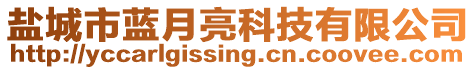 鹽城市藍(lán)月亮科技有限公司