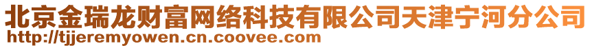 北京金瑞龍財富網(wǎng)絡(luò)科技有限公司天津?qū)幒臃止? style=