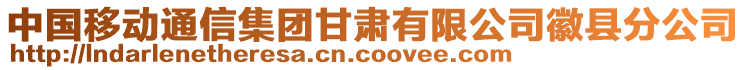 中國(guó)移動(dòng)通信集團(tuán)甘肅有限公司徽縣分公司