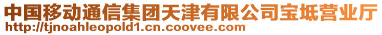 中國(guó)移動(dòng)通信集團(tuán)天津有限公司寶坻營(yíng)業(yè)廳