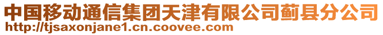 中國(guó)移動(dòng)通信集團(tuán)天津有限公司薊縣分公司