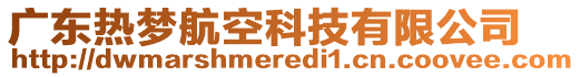 廣東熱夢航空科技有限公司