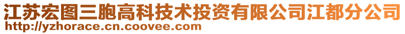 江蘇宏圖三胞高科技術(shù)投資有限公司江都分公司