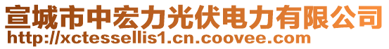 宣城市中宏力光伏電力有限公司