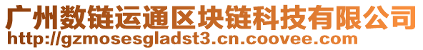 廣州數(shù)鏈運(yùn)通區(qū)塊鏈科技有限公司