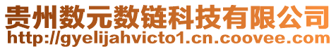 貴州數(shù)元數(shù)鏈科技有限公司