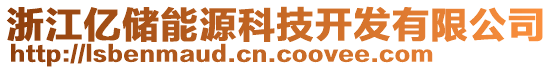 浙江億儲(chǔ)能源科技開發(fā)有限公司