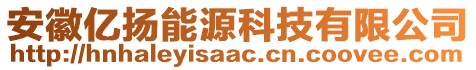 安徽億揚能源科技有限公司