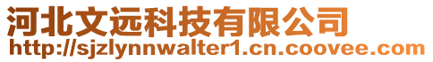 河北文遠(yuǎn)科技有限公司