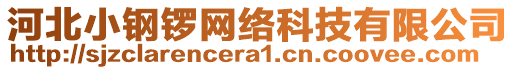 河北小鋼鑼網(wǎng)絡(luò)科技有限公司