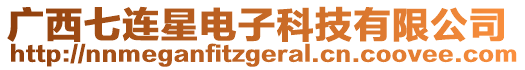 廣西七連星電子科技有限公司