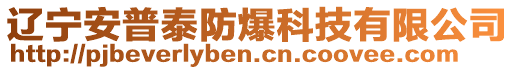 遼寧安普泰防爆科技有限公司