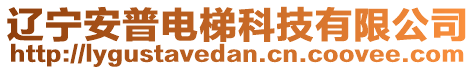 遼寧安普電梯科技有限公司