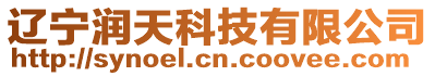 遼寧潤天科技有限公司