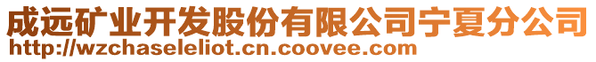 成遠(yuǎn)礦業(yè)開發(fā)股份有限公司寧夏分公司