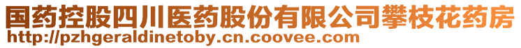 國(guó)藥控股四川醫(yī)藥股份有限公司攀枝花藥房