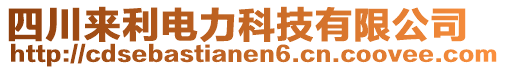 四川來利電力科技有限公司