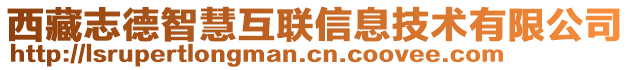 西藏志德智慧互聯(lián)信息技術(shù)有限公司