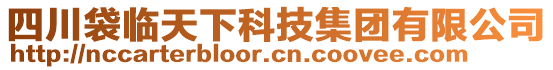 四川袋臨天下科技集團(tuán)有限公司