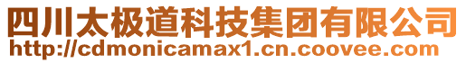 四川太極道科技集團有限公司