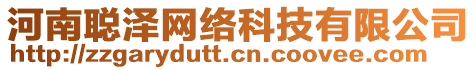 河南聰澤網(wǎng)絡(luò)科技有限公司