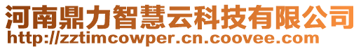 河南鼎力智慧云科技有限公司