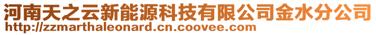 河南天之云新能源科技有限公司金水分公司