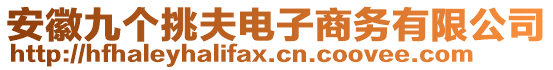 安徽九個挑夫電子商務(wù)有限公司