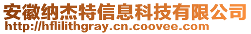 安徽納杰特信息科技有限公司