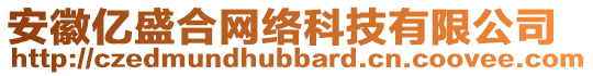 安徽億盛合網(wǎng)絡(luò)科技有限公司