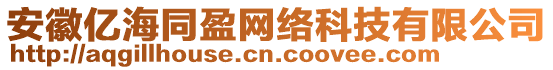 安徽億海同盈網(wǎng)絡(luò)科技有限公司