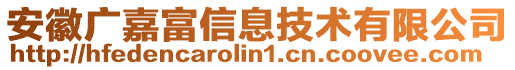 安徽廣嘉富信息技術(shù)有限公司