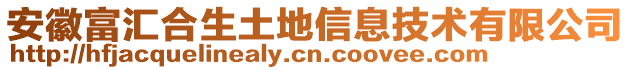 安徽富匯合生土地信息技術(shù)有限公司