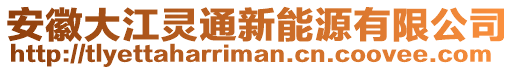 安徽大江靈通新能源有限公司