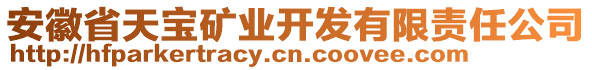 安徽省天寶礦業(yè)開發(fā)有限責(zé)任公司