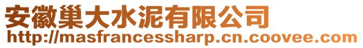 安徽巢大水泥有限公司