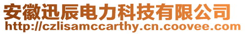 安徽迅辰電力科技有限公司