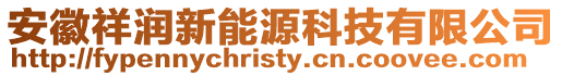 安徽祥潤(rùn)新能源科技有限公司