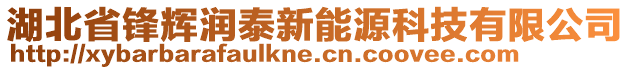 湖北省鋒輝潤(rùn)泰新能源科技有限公司