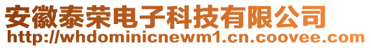 安徽泰榮電子科技有限公司