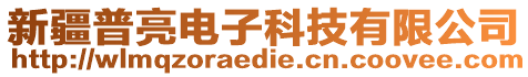 新疆普亮電子科技有限公司
